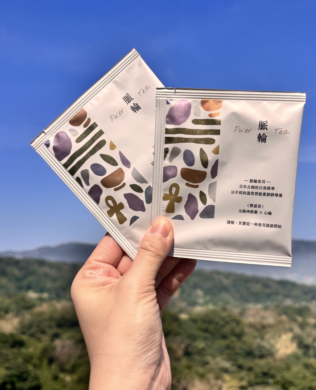 新品脈輪普洱茶