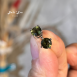 『顯化與轉化』捷克隕石6MM純銀耳環Moldavite  療癒師最愛