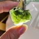 轉化人生『捷克隕石9.7G』身體改變