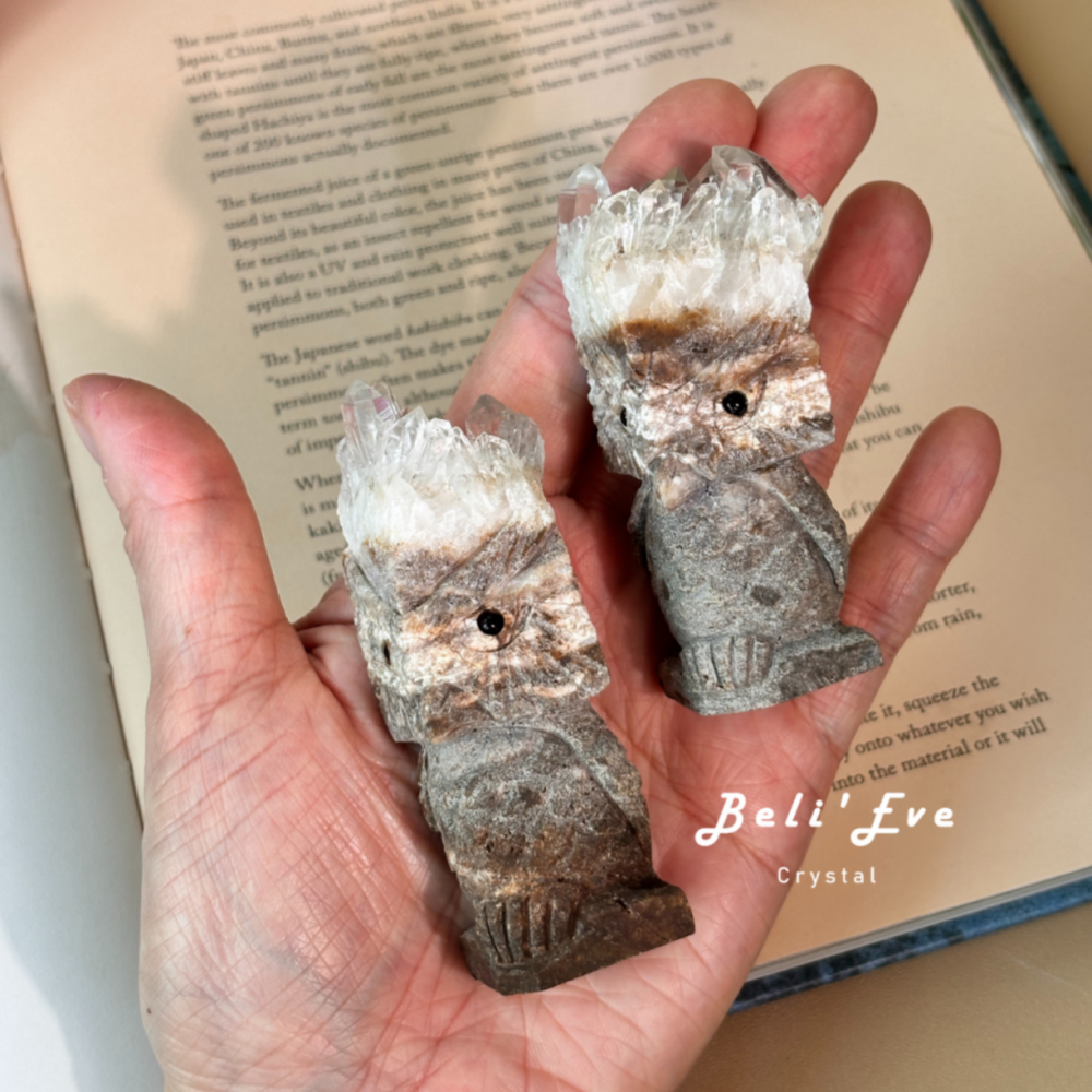 想要加強考試運嗎?邀請~『晶簇雕刻貓頭鷹』