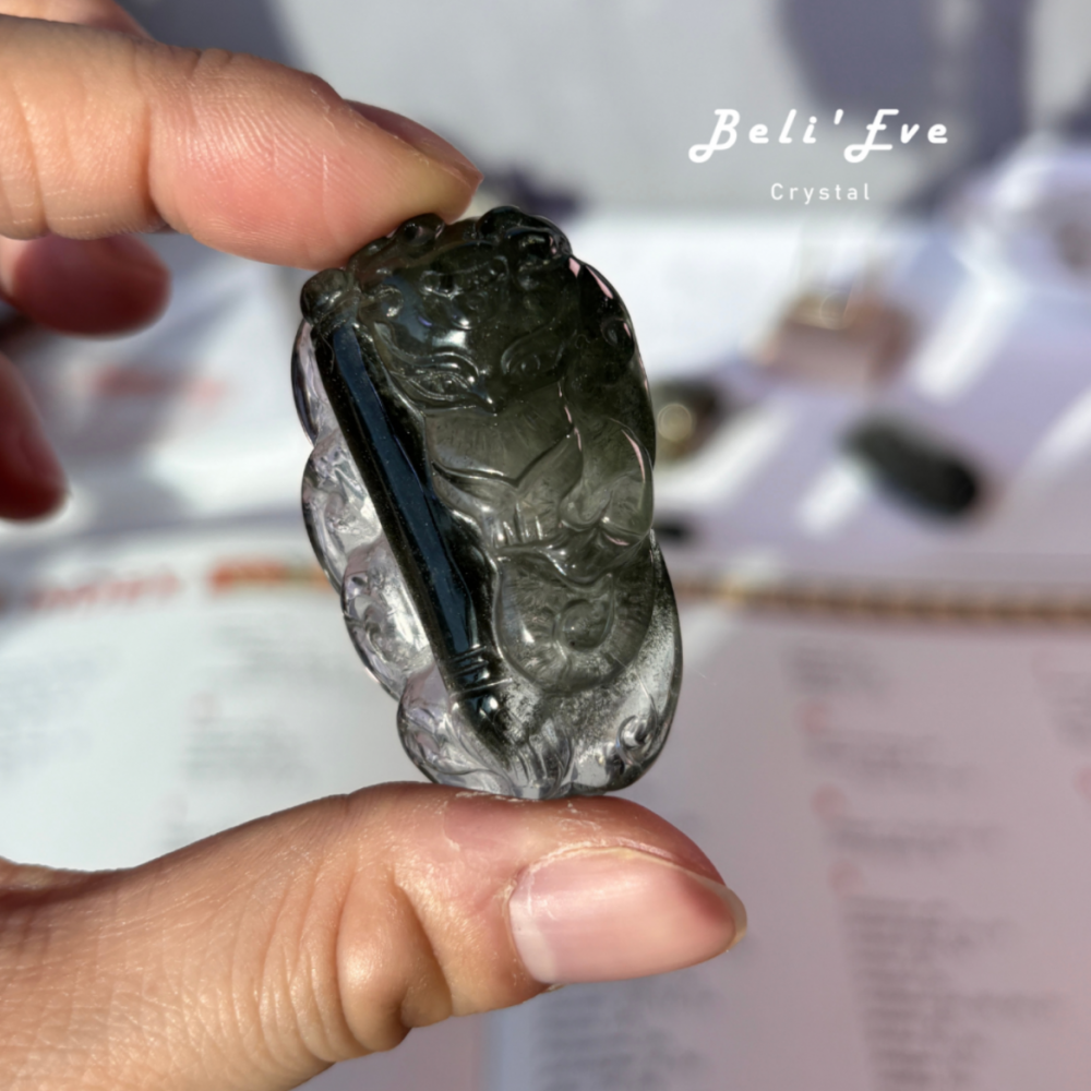 『學運考試』文昌學習加倍深綠綠 幽靈九尾狐 高普考 證照考試