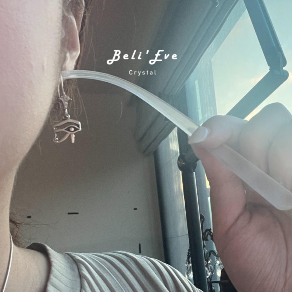 埃及進口 荷魯斯之眼&蓮花耳環 925純銀耳環