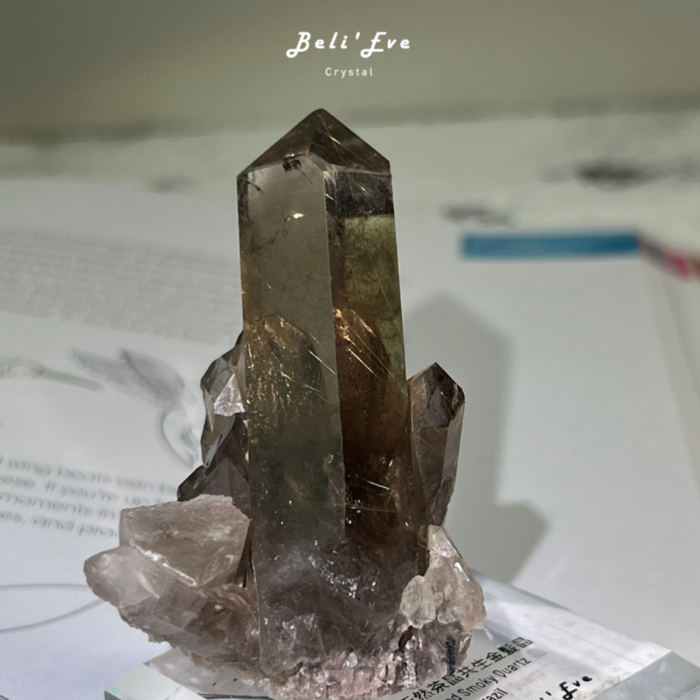 『共生金紅石』茶晶原礦 巴西產地 鈦晶 金髮晶共生 附贈底座 手握療癒礦石 消除負能量