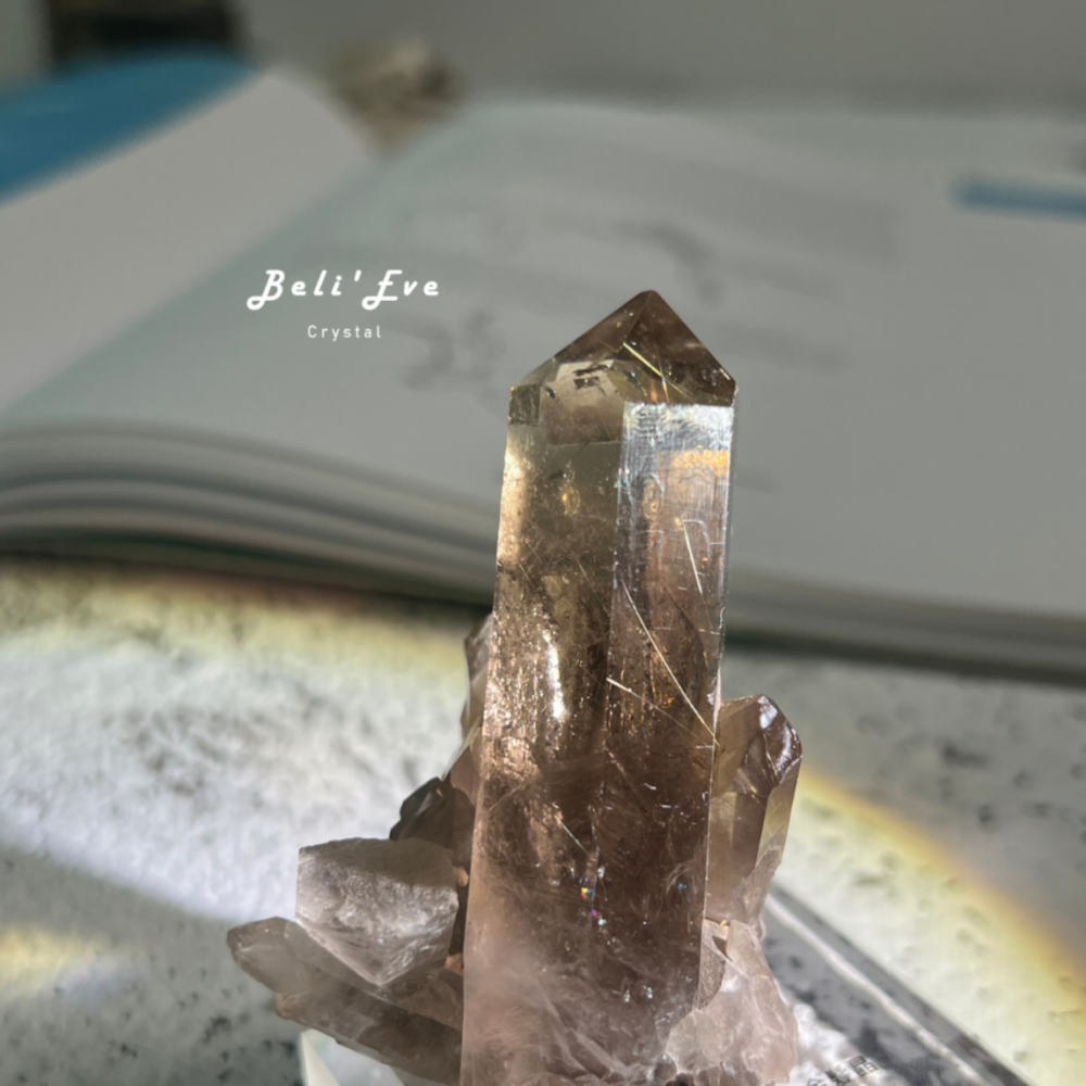 『共生金紅石』茶晶原礦 巴西產地 鈦晶 金髮晶共生 附贈底座 手握療癒礦石 消除負能量