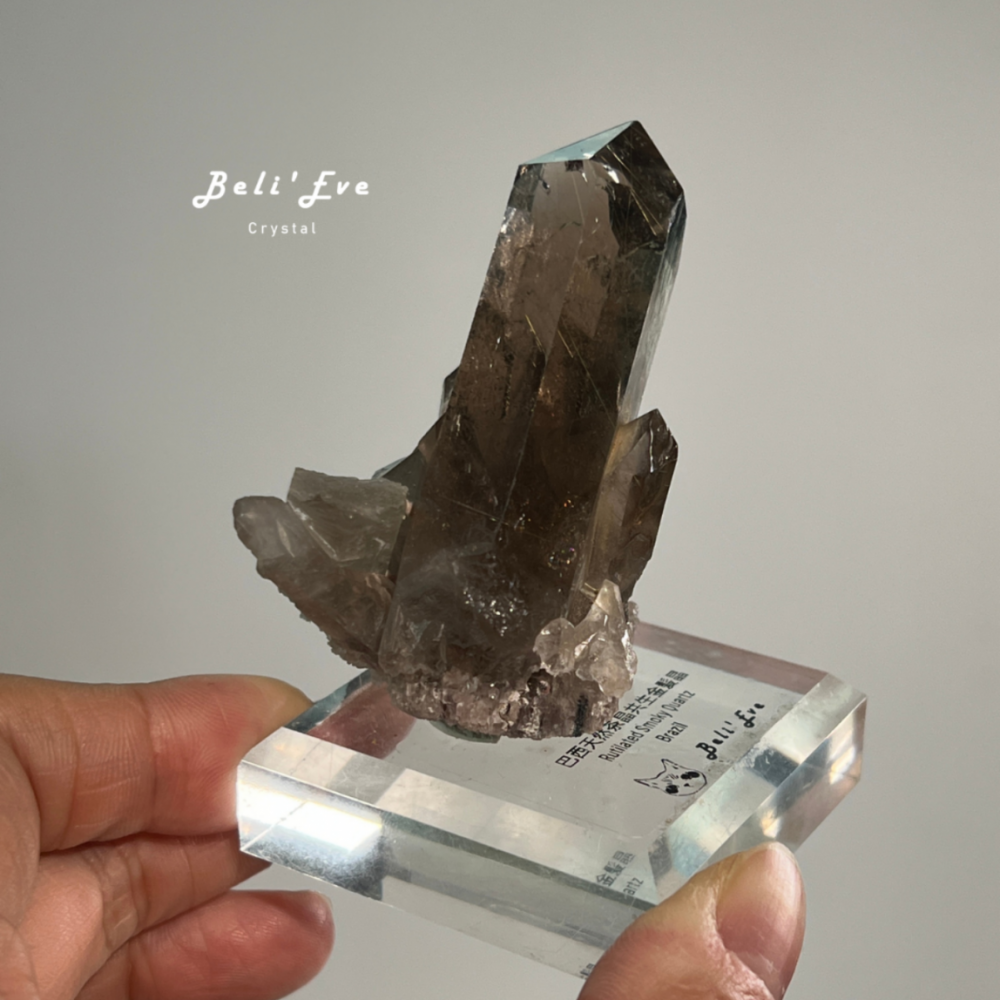 『共生金紅石』茶晶原礦 巴西產地 鈦晶 金髮晶共生 附贈底座 手握療癒礦石 消除負能量