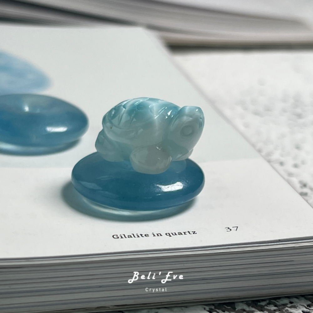 『龜背紋明顯』拉利馬 海紋石20-21MM 海龜造型 玉化料 溝通協調 幸運值 母嬰連結