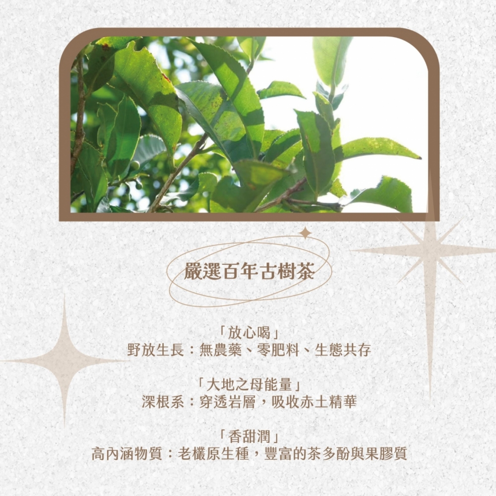 『脈輪普洱茶』30年自有茶山茶廠合作 自然發酵普洱茶 熟茶 盒裝10包 可企業大量訂購