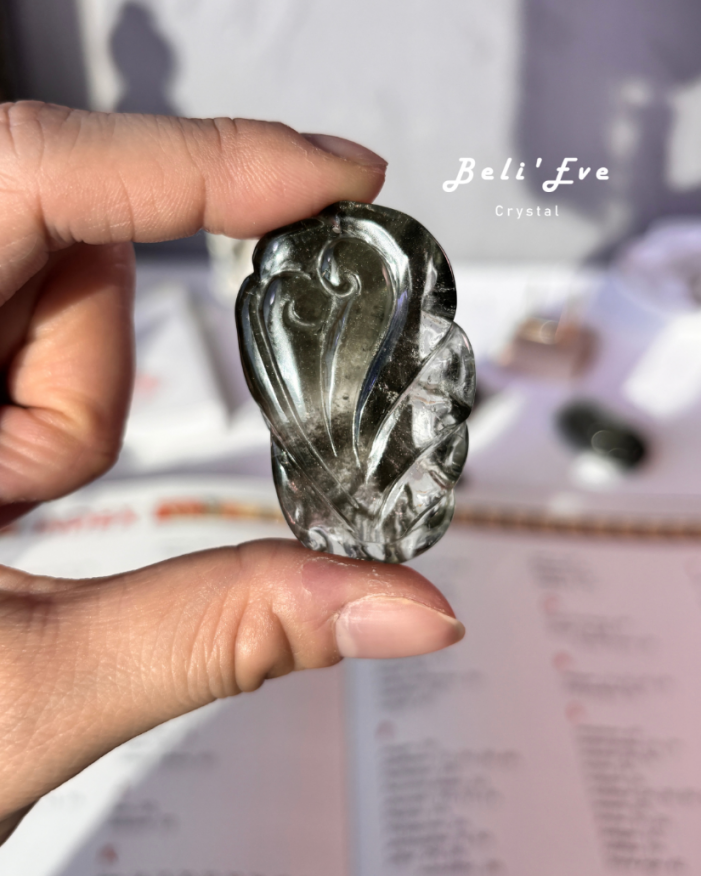 『學運考試』文昌學習加倍深綠綠 幽靈九尾狐 高普考 證照考試