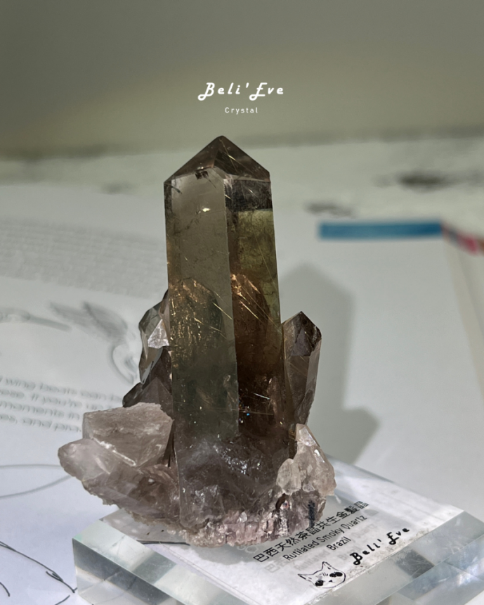 『共生金紅石』茶晶原礦 巴西產地 鈦晶 金髮晶共生 附贈底座 手握療癒礦石 消除負能量