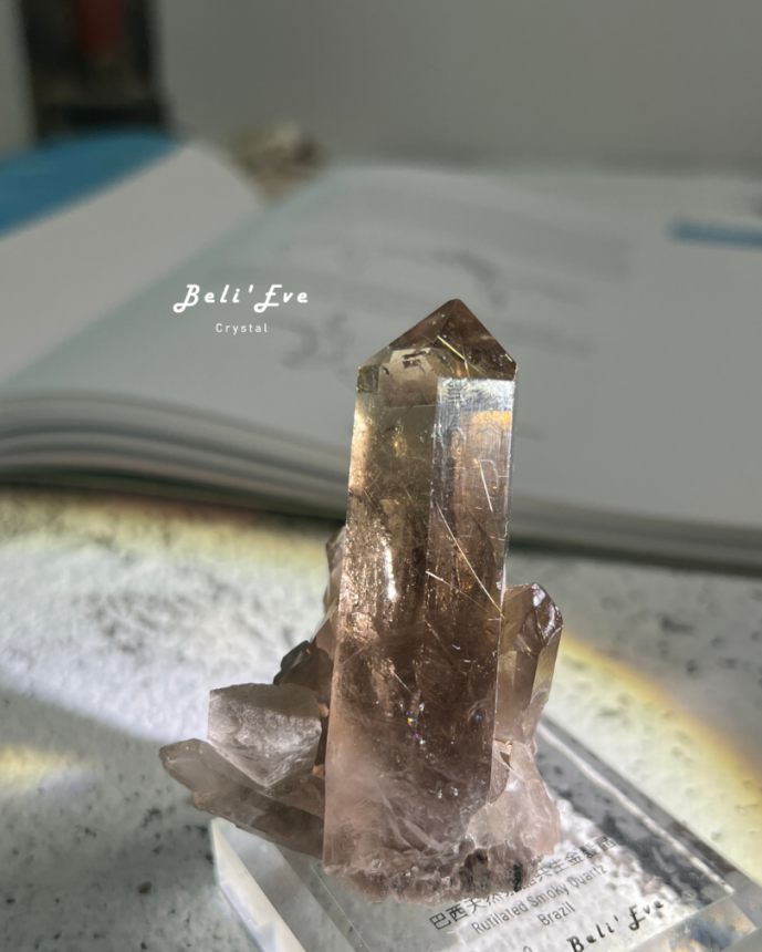 『共生金紅石』茶晶原礦 巴西產地 鈦晶 金髮晶共生 附贈底座 手握療癒礦石 消除負能量